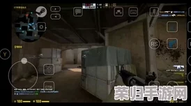 暴躁老阿姨csgo剧情解析：深入剖析这位角色的背景故事与情感冲突，揭示其在游戏中的重要性与影响力