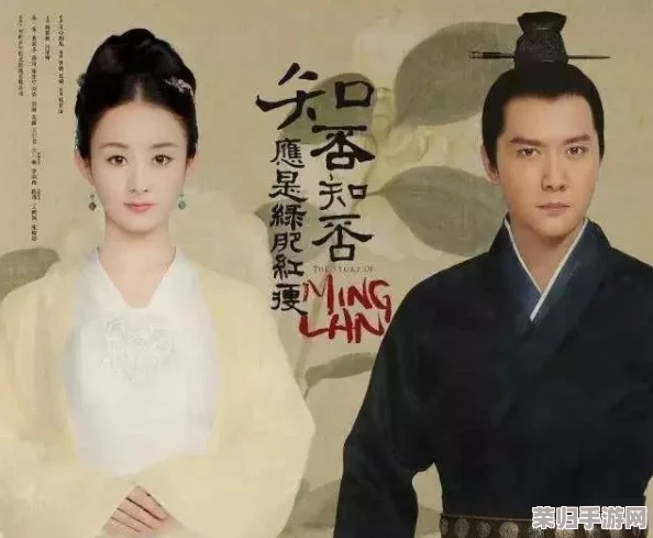 苏家有女1v5苏桐：五个男人的爱情竞争，她会如何选择？