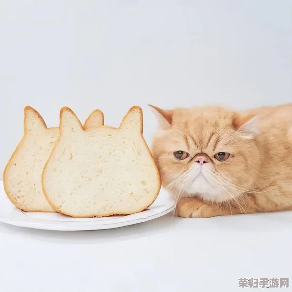 解锁猫咪小姐2全成就攻略：MissNeko 2荣耀奖杯大赏！