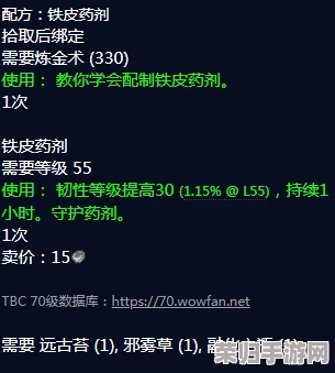 自制铁皮药水的神奇配方与制作秘籍，打造坚韧防护力！