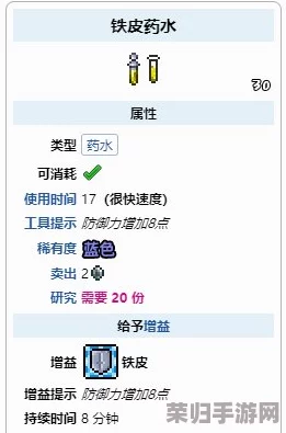 自制铁皮药水的神奇配方与制作秘籍，打造坚韧防护力！