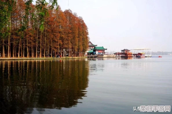 风车动漫(p)_专注动漫的门户官方网站，带你领略多元文化与创意无限的二次元世界