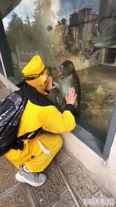 两人生猴子全程无被子，探讨生活方式的现代理念与传统观念碰撞