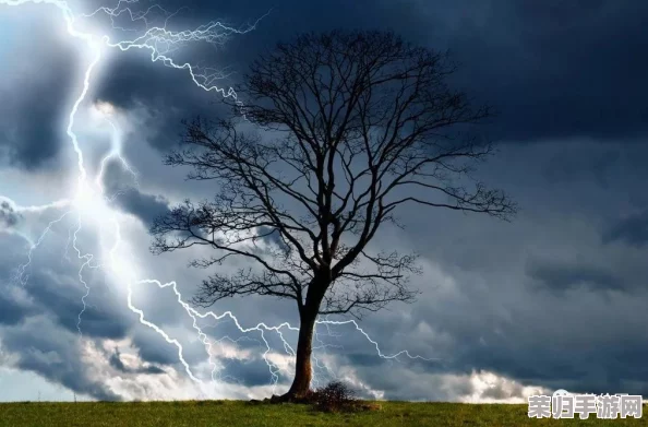 大雷擦大阻:在自然界中,强烈的雷电与高耸的障碍物之间的相互作用揭示了能量释放与环境影响的重要关系 大雷擦大阻:在自然界中,强烈的雷电与高耸的障碍物之间的相互作用揭示了能量释放与环境影响的重要关系