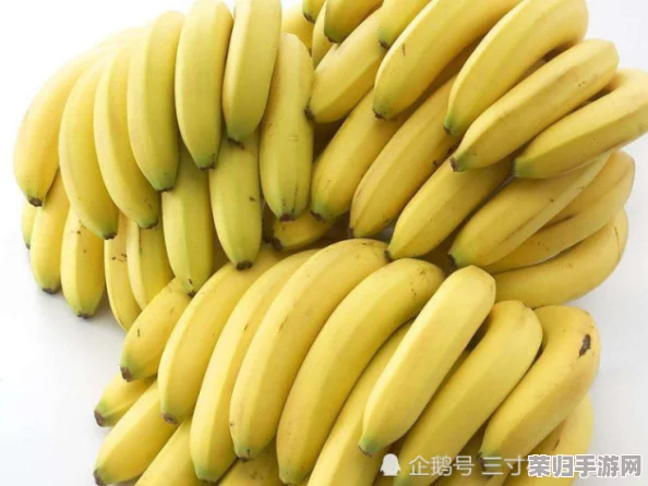 91香蕉：如何在健康饮食中巧妙融入水果，提升生活品质与活力