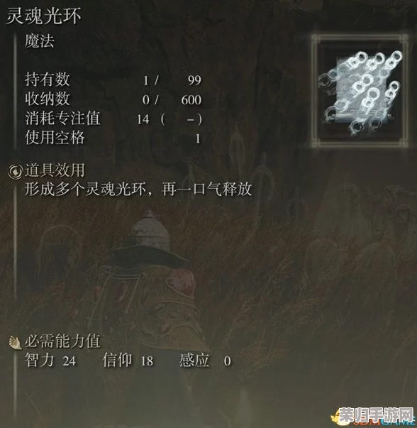 艾尔登法环本体与DLC震撼容量，探索无限世界的广阔尺寸！