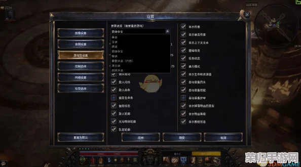 解锁《破坏领主》中文魅力：详尽设置中文方法大