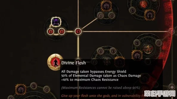 探索《流放之路》终极防御：AA盾全面解析与命名