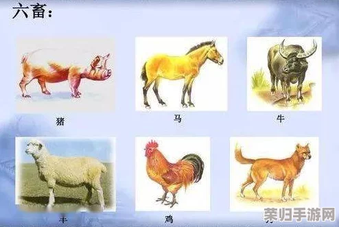 欧美人与牲禽动交com：用户评价分享，带你了解其中的各种观点与感受，让人深思