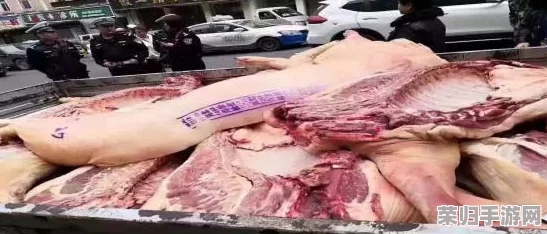 肉大榛一进一出免费视频：这是一部展示肉类加工过程的免费视频，内容生动有趣，适合喜欢美食的人观看