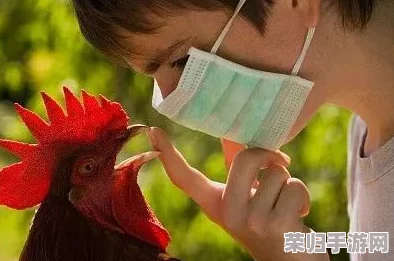 欧美人与性禽动交情品：网友热议，认为这一现象反映了文化差异与社会心理的复杂性，引发广泛讨论和思考