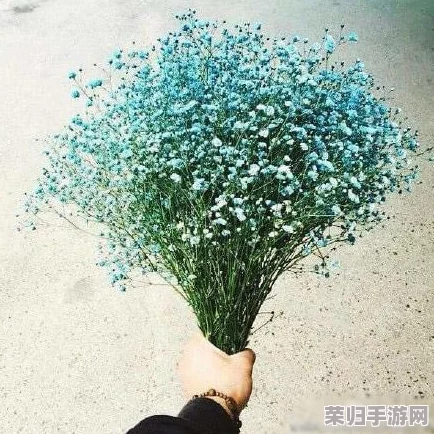 网友热议：法国满天星系列医院的设计理念与医疗服务，究竟能否引领未来医疗新趋势？