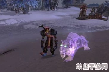 魔兽世界WLK版本：深度解析兽王猎人的极致玩法与策略指南