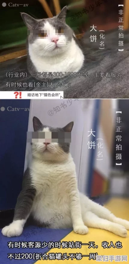 色优优：网友热议“色优优”背后的故事，纷纷表示这款产品真是太好用了，值得推荐给身边的朋友！