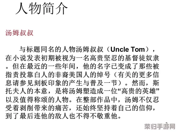 深度解读汤姆叔叔提示温馨提醒30背后的生活智慧