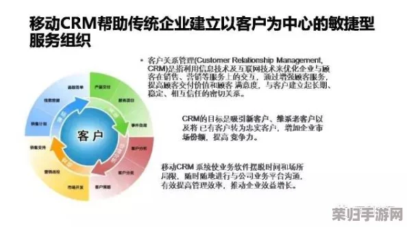 日本免费saas crm：提升企业客户关系管理效率的最佳选择