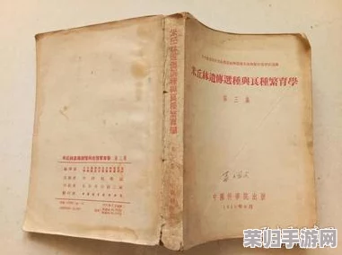 胡桃和丘丘人繁殖后代：探讨他们的生态适应与文化交融对新生代的影响
