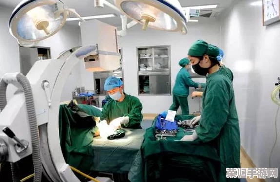 缅甸北部切除睾丸网站：揭示这一极端医疗行为背后的社会与文化因素，反映人们对健康和身体的不同认知