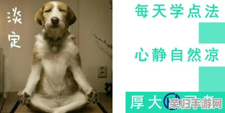 粗暴 交videos乱叫美国，网友评论：这标题真是让人震惊，难以想象内容会有多离谱！