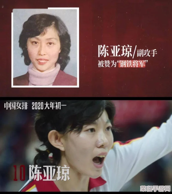 50人群体交乱视频：网友热评揭示人性复杂，纷争背后暗藏深意与社会现象观察