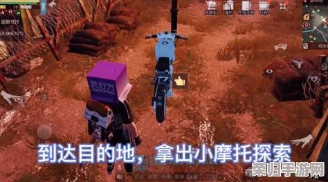 探索明日之后：高效室友同行策略，携手共赴末日生存之旅