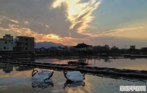 探秘珊瑚岛上的隐世铁匠铺：独家指引，寻觅手工艺术之魂的绝佳去处