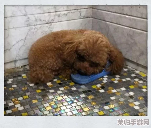 二人生猴子全程不盖被子李佳琦：揭秘睡姿对健康的影响
