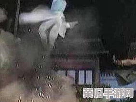 雷电将军腿法脚法娴熟，深刻理解其技巧与应用的独特魅力