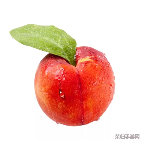 蜜桃入口：深入理解这一美味水果的独特魅力与健康益处