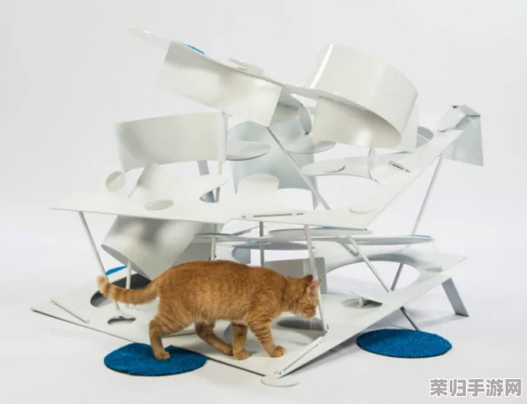遇见你的猫：精致物品布局与高效玩法指南，打造梦幻猫咪小窝全攻略