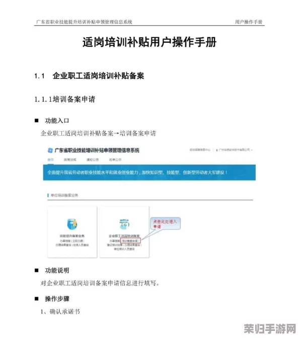 janpense visa18-19：用户热评分享，揭示使用体验与申请攻略的全面解析
