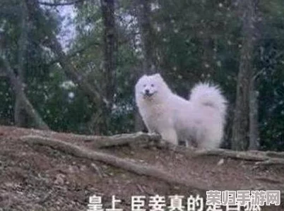 啊∽你tm别 了我的小兔兔电影，真是太搞笑了！这片子居然能把我笑到肚子疼，简直是年度最佳喜剧！