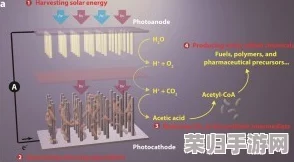 钶钶钶钶钶钶钶水：探讨这一神秘物质的性质、用途及其在科学研究中的重要性与潜力