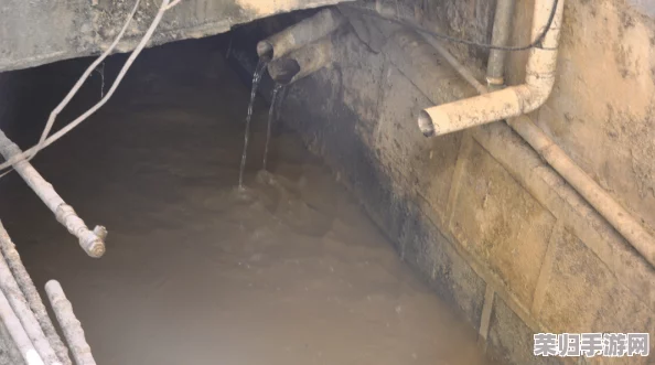 “钢钢钢钢钠好多水污”引发用户热议,深入探讨水污染影响与潜在解决方案 “钢钢钢钢钠好多水污”引发用户热议,深入探讨水污染影响与潜在解决方案