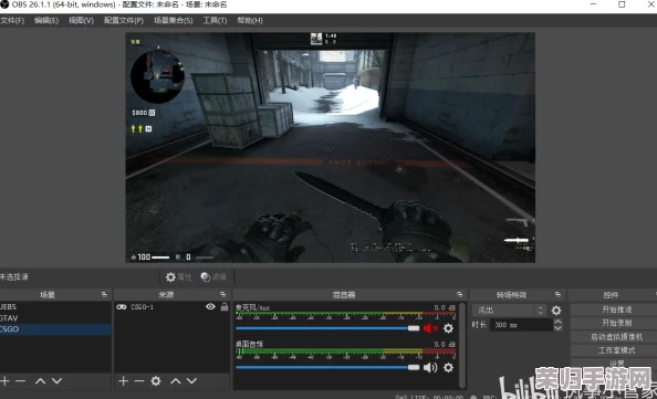 csgo期必中播放软件：用户评价认为界面友好，流畅度超出预期，值得尝试的选择！