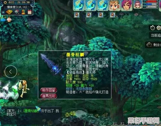 梦幻西游109级花果山高手进阶：精选装备搭配指南，助力战力飙升之旅