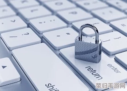 免费成品入口直接看：探究如何安全可靠获取高质量资源