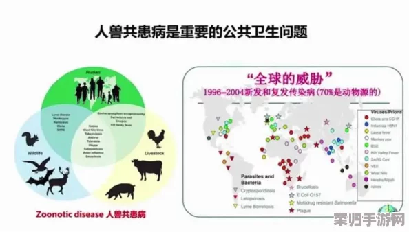 人与畜禽corporation康诺：探索人与动物和谐共生的未来发展与创新理念