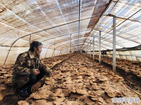 蜡笔小新：小小英雄助力记——小帮手大作战手游震撼上线倒计时！