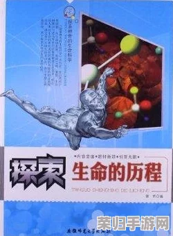 探索猫神牧场：蚂蚁流派策略全攻略，掌握微观世界经营奥秘与制胜之道