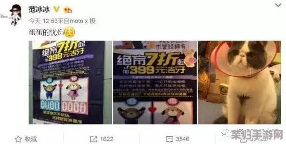 段嘉衍夹震蛋器：网友热评效果显著，使用方便，成就了无数美味早餐和甜点的秘密武器！
