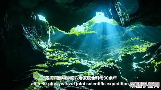 深度比较：艾尔登法环中的顶级印记，哪个最契合你的探险之旅？
