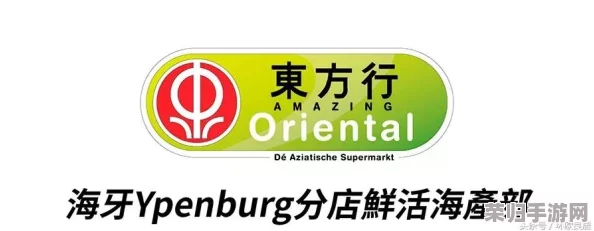 探索光遇秘境：解锁海滩隐藏螃蟹烧烤圣地，尽享独特味蕾与视觉盛宴之旅