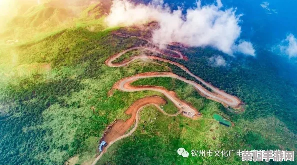 极限挑战：战斗策略与求生智慧全攻略，解锁生存之道与致胜技巧秘籍