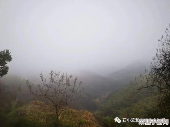 烟雨江湖世界探秘：寻觅纸钱购买地，解锁独特悼念方式指南
