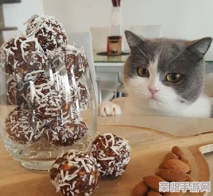 打造纸艺萌宠世界：全方位店员培育指南，解锁猫乐园独特魅力与经营秘籍