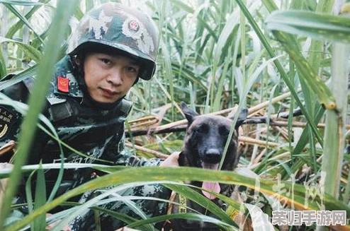 使命召唤手游：战场霸主养成记——深度解锁道具运用技巧与制胜策略