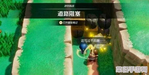 塞尔达传说：智慧试炼之路障破除全攻略，解锁未知挑战的智慧密钥