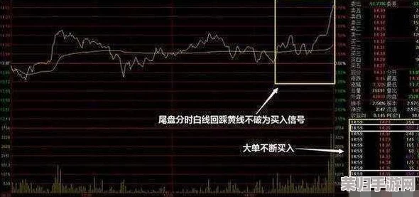 锚点降临：顶尖刺玫模组精选与高效搭配策略指南