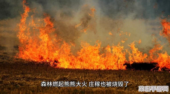 《黑神话：悟空》终极挑战揭秘——第五章灰烬谷全通关策略与场景深度探索指南